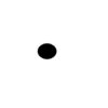 the black dot on the white paper