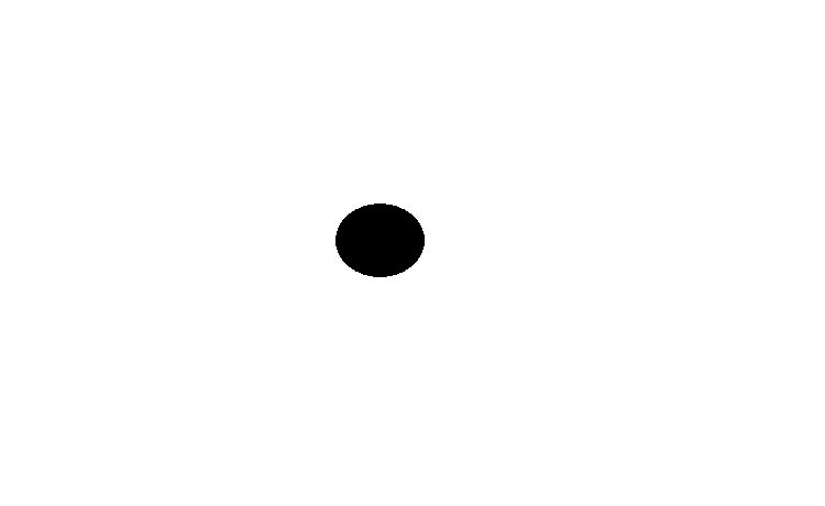 the black dot on the white paper