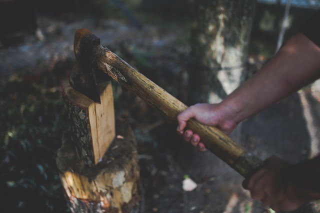 The Honest Woodcutter Story of honesty