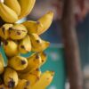 Act of Kindness Story of bananas