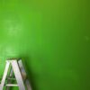 Wise Thinking green color on wall