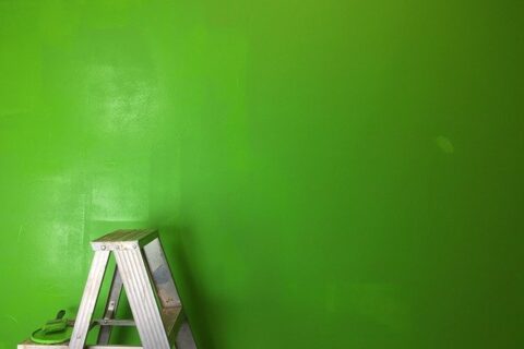 Wise Thinking green color on wall