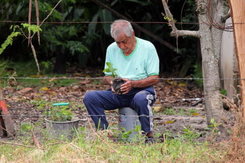 Short Story About Trees old man planting tree