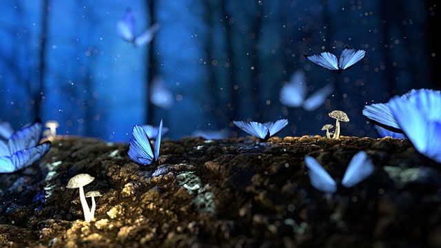 Three Butterflies in garden Story