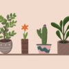 Plants in Pot says be honest with yourself