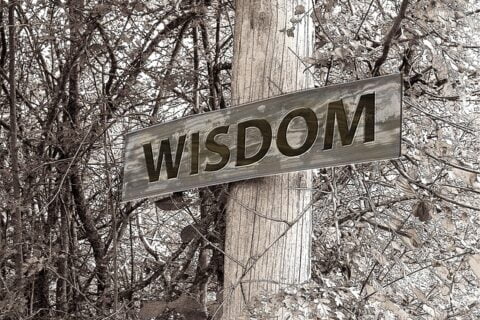 Sage Wisdom inspiring story